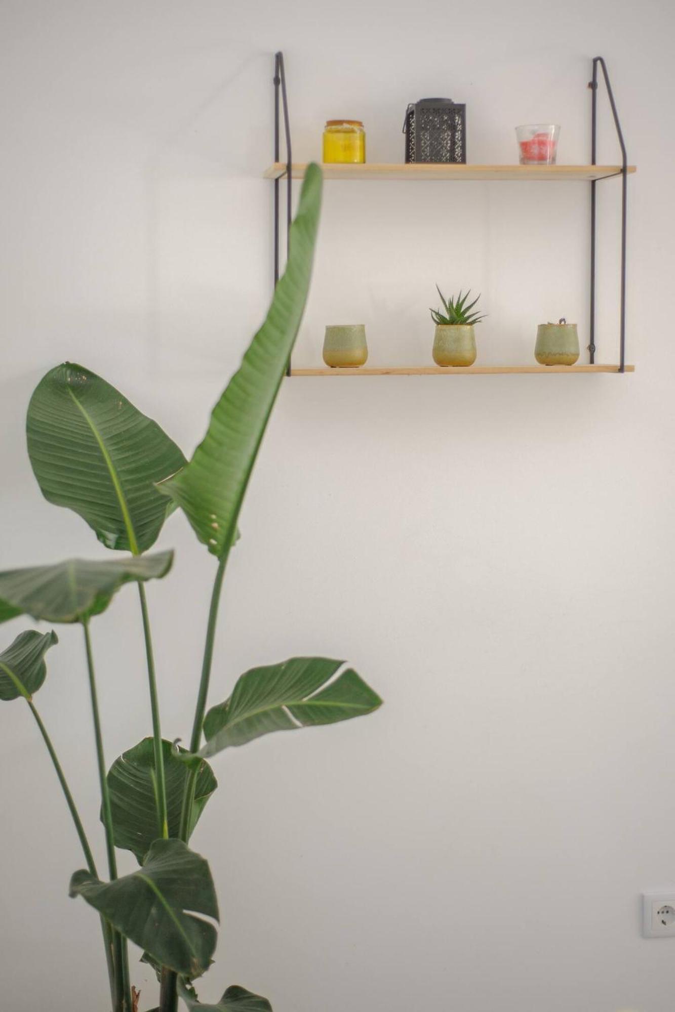 Sintra Sweet Apartment III - Free Parking Εξωτερικό φωτογραφία