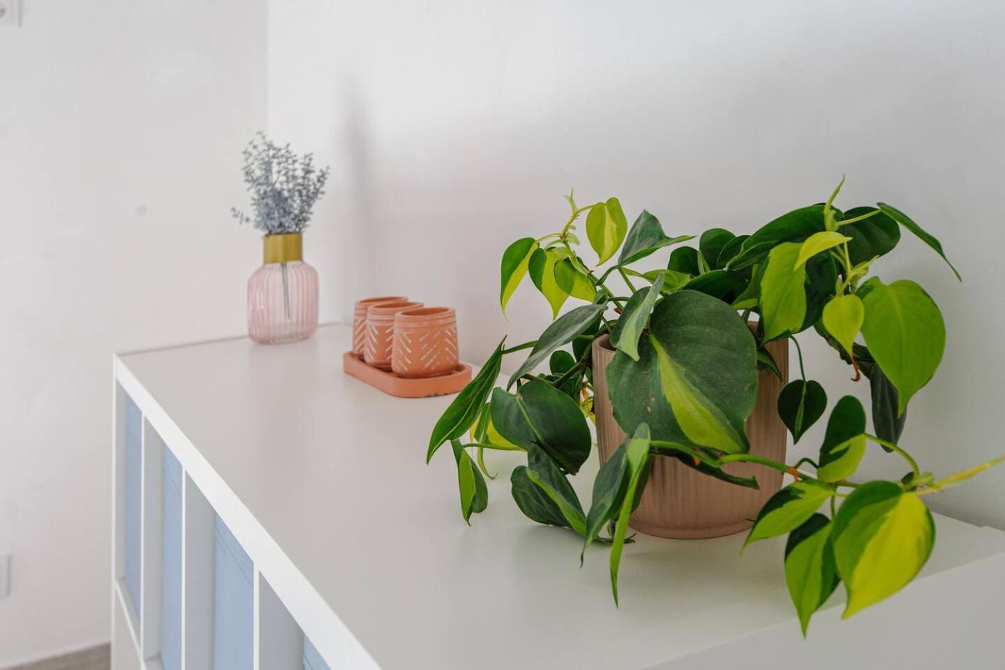 Sintra Sweet Apartment III - Free Parking Εξωτερικό φωτογραφία